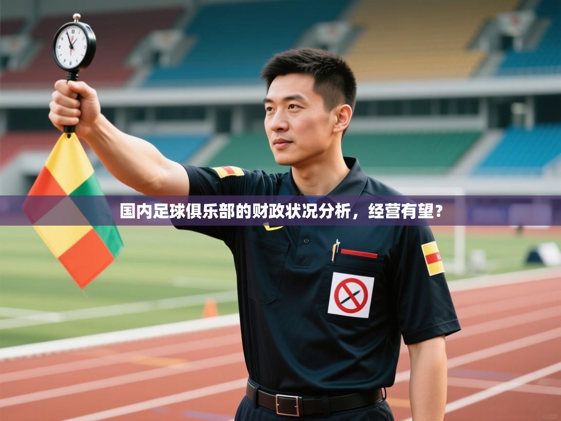 开云体育入口邀请码-国内足球俱乐部的财政状况分析,经营有望? 第1张