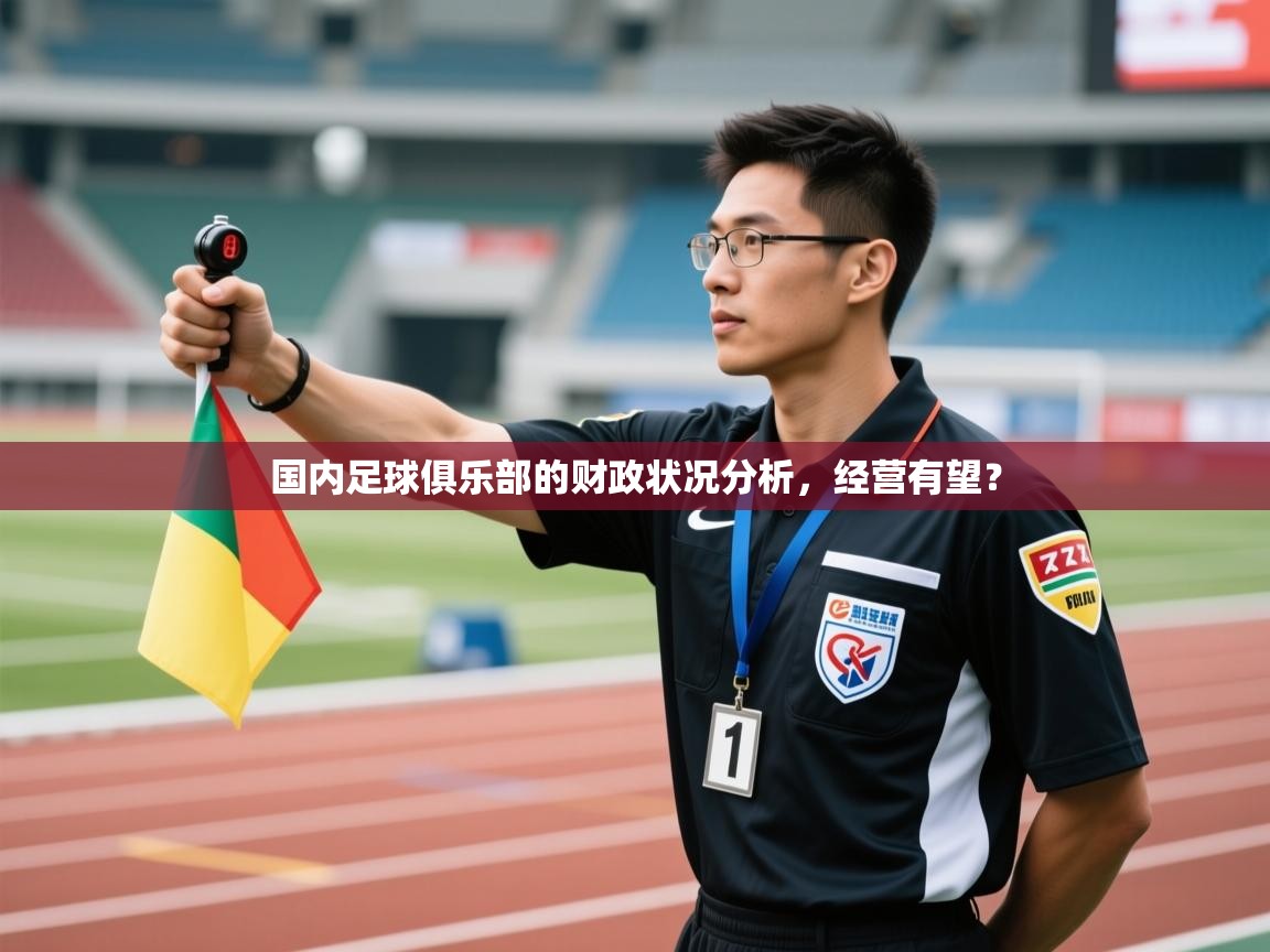 开云体育入口邀请码-国内足球俱乐部的财政状况分析,经营有望? 第4张