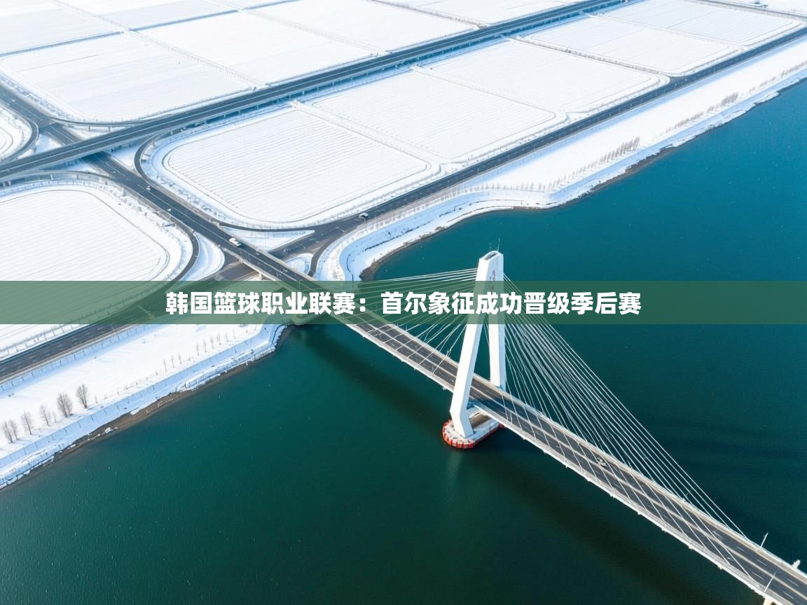 开运体育入口-韩国篮球职业联赛：首尔象征成功晋级季后赛