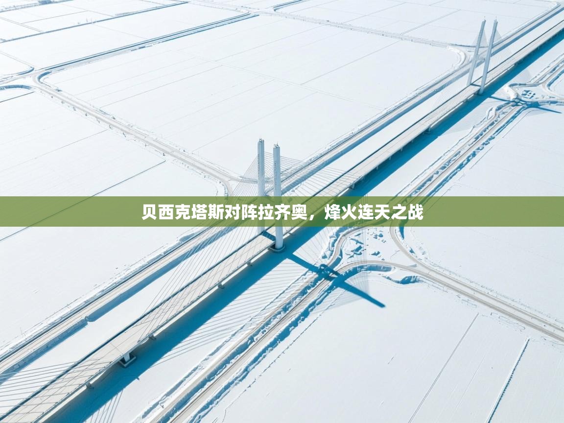 开云体育入口注册-贝西克塔斯对阵拉齐奥，烽火连天之战  第2张