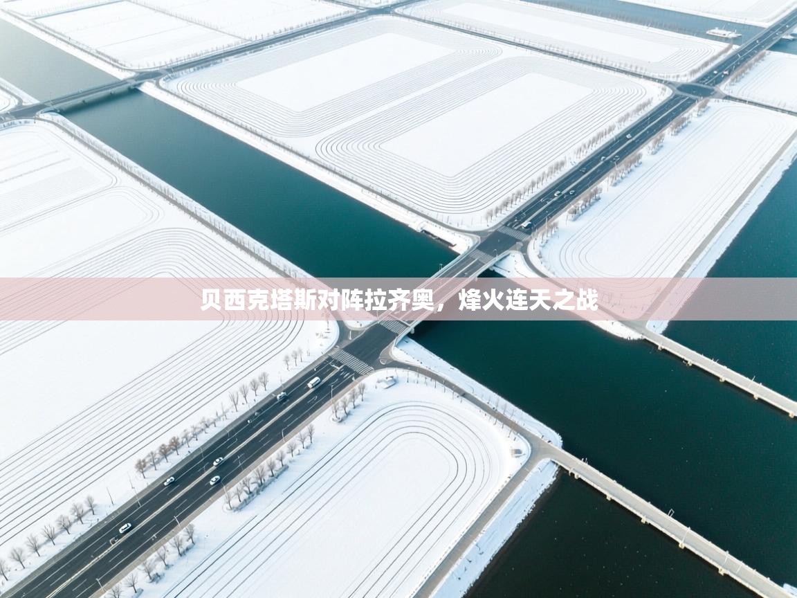 开云体育入口注册-贝西克塔斯对阵拉齐奥，烽火连天之战  第4张